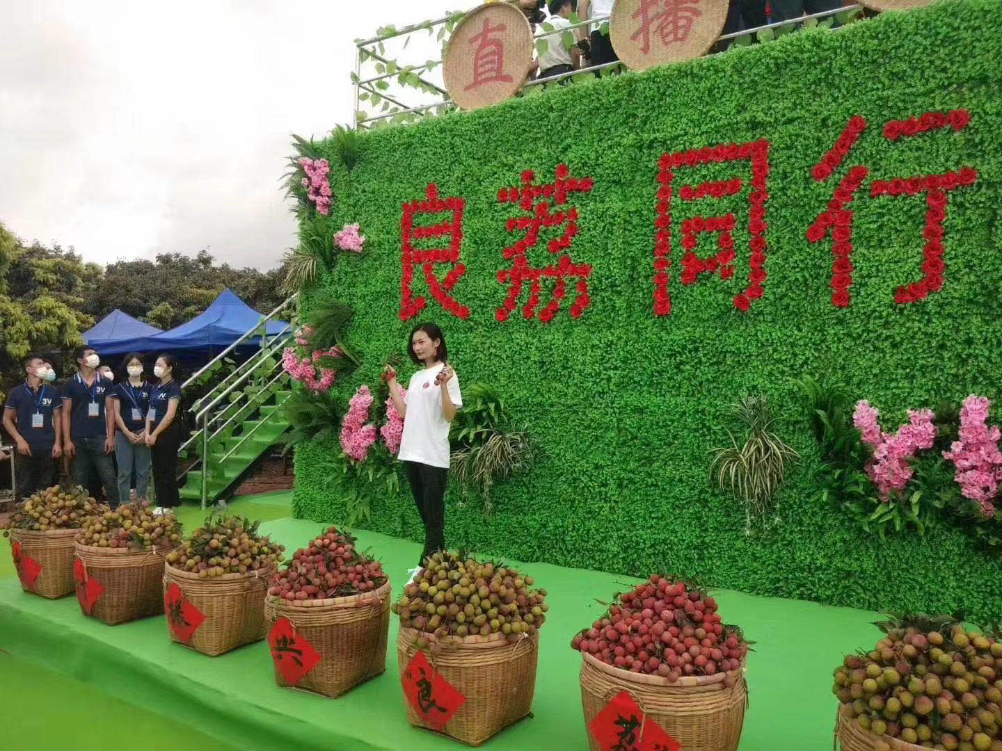 奥运跳水冠军劳丽诗为家乡荔枝代言